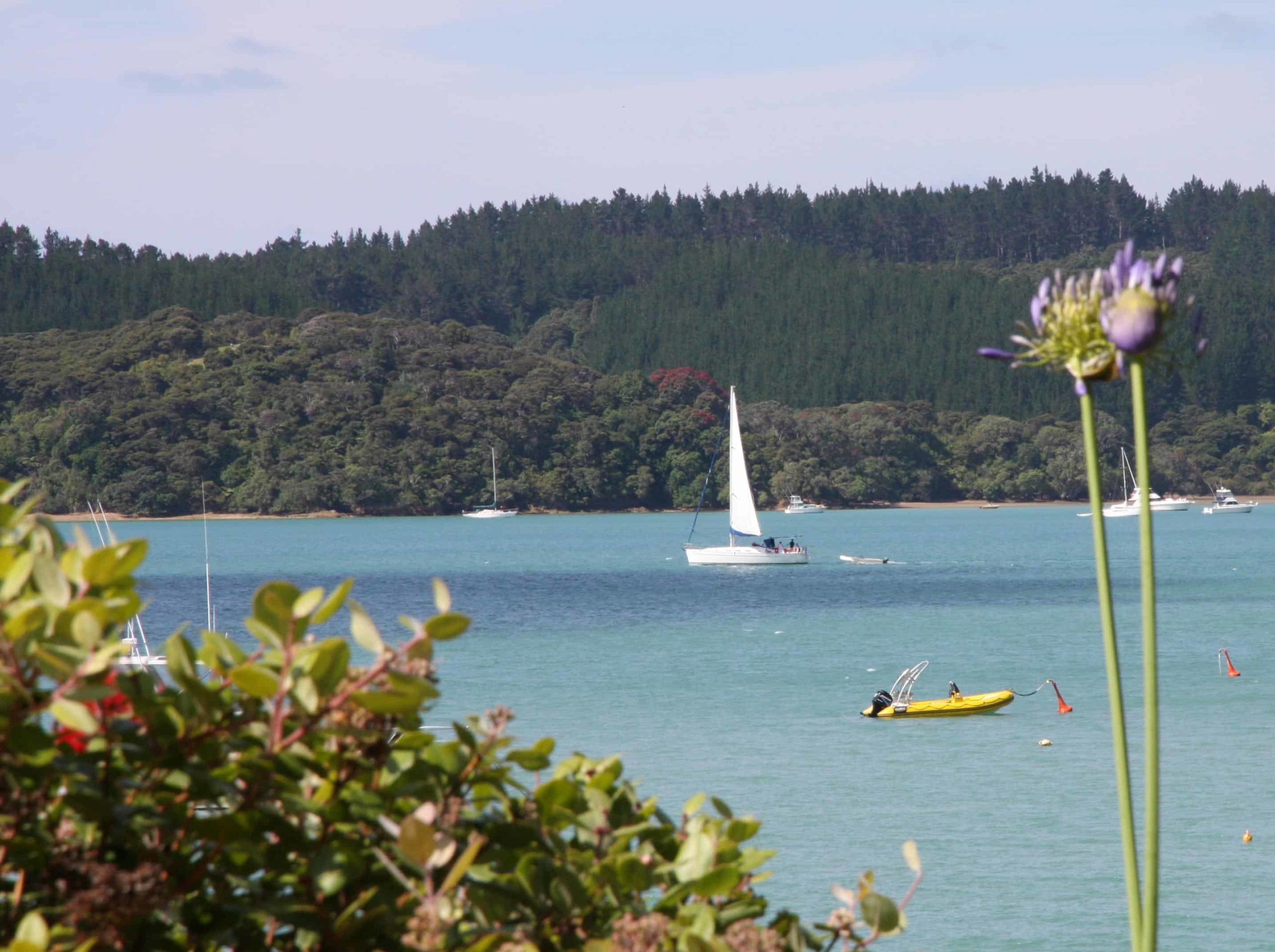 Boats sailing in the Bay of Islands