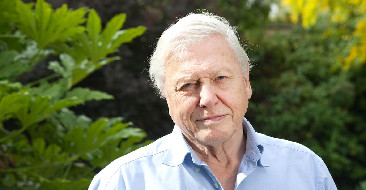 A photo of Sir David Attenborough
