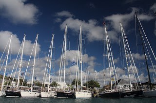 Oyster yachts lined up in ANtigua